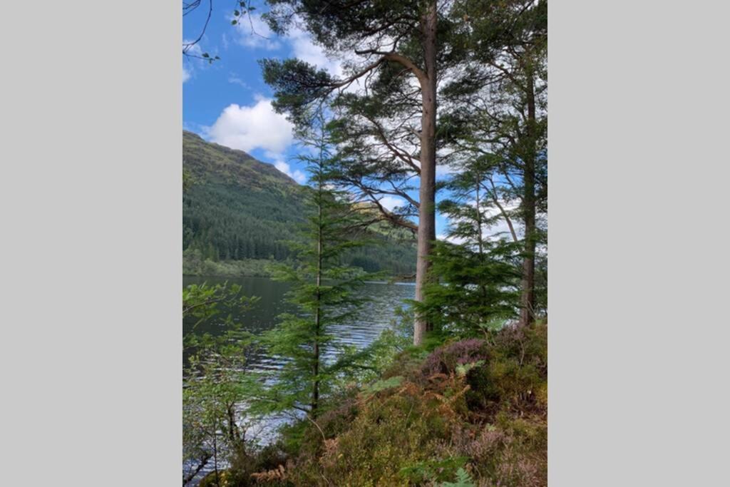 North Lodge Kilmun Exterior photo